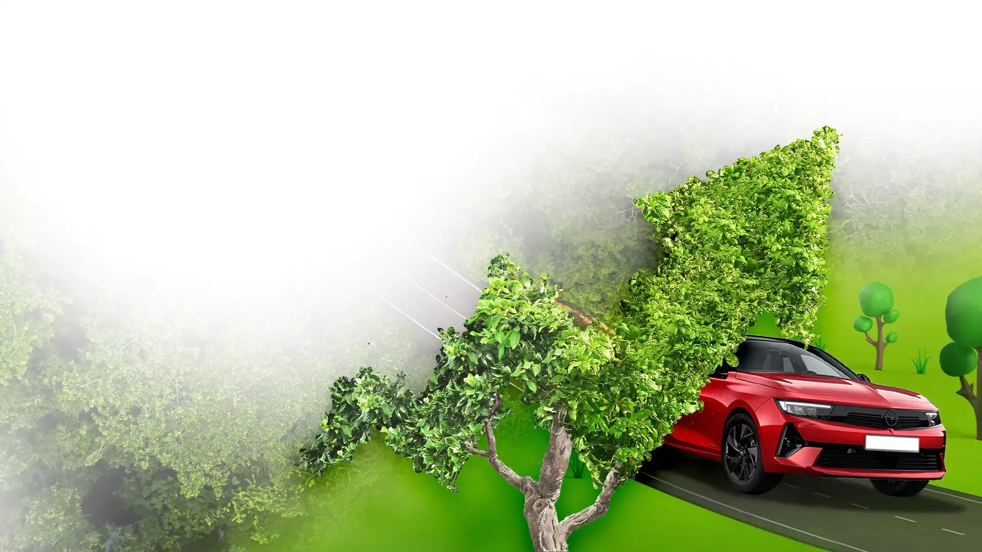 Maximum Level in Economics and Ecology<br>